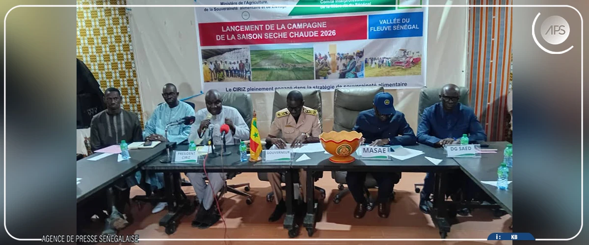 Mabouba Diagne appelle les producteurs de riz à relever les défis de la productivité et de la commercialisation