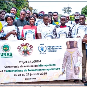 Ziguinchor : 35 jeunes formés aux techniques modernes d'apiculture