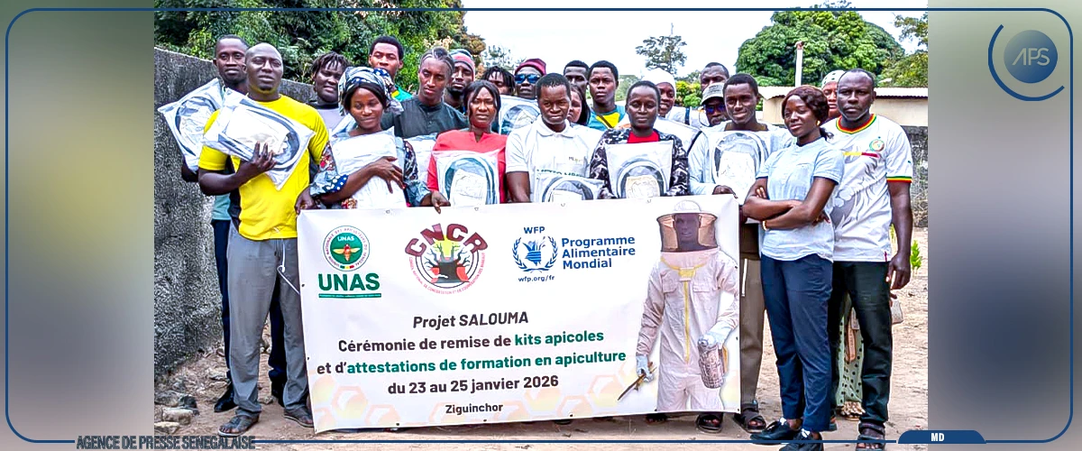 Ziguinchor : 35 jeunes formés aux techniques modernes d’apiculture