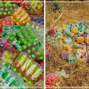 Diourbel : découverte d'un dépôt de boissons périmées dans la nature