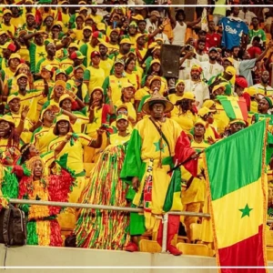 CAN 2025 : la FSF exhorte les supporters des Lions au respect des règles de sécurité