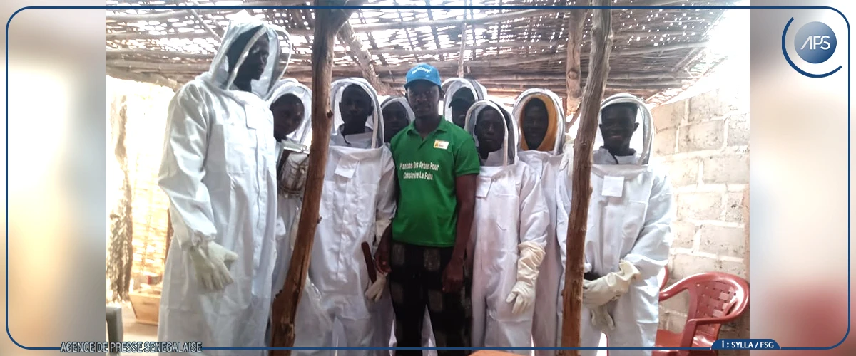 Tambacounda: des attestations de formation et des kits apicoles remis à 35 jeunes