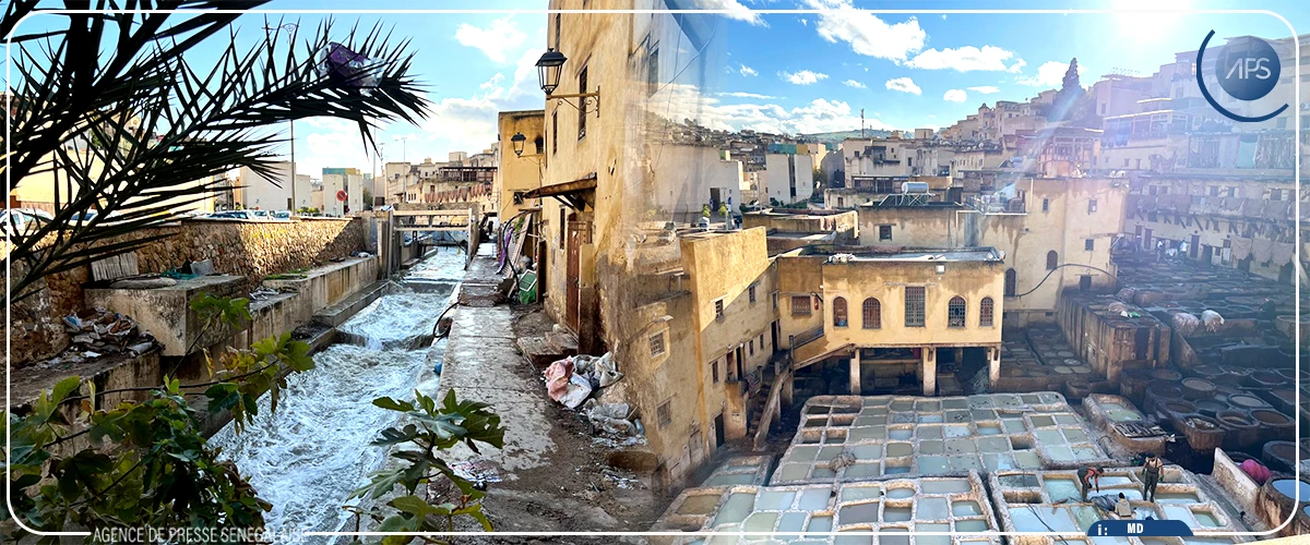 Au cœur de la tannerie Chouara de Fès, héritage d'un savoir-faire millénaire