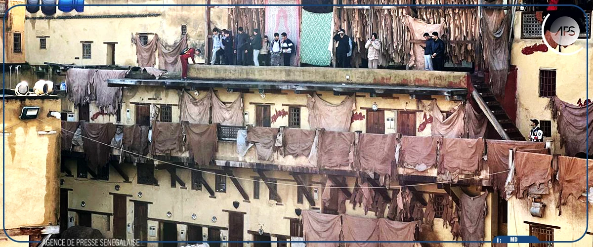 Au cœur de la tannerie Chouara de Fès, héritage d'un savoir-faire millénaire