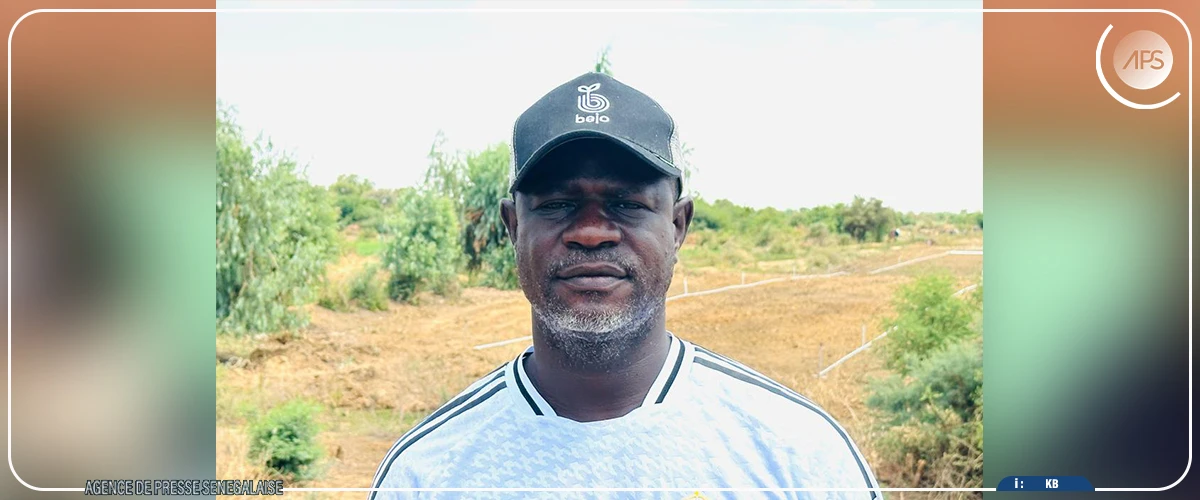 Bokhol : plus de 80 000 tonnes de tomates industrielles attendues en 2026 (producteur)