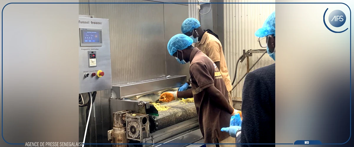 Zone industrielle de Diamniadio : l'Etat s'engage pour une ''compétitivité'' des PME-PMI (officiel)