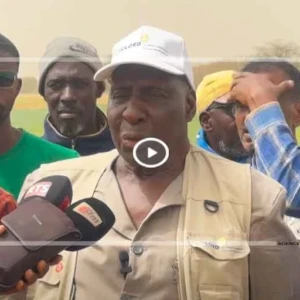 Pont Gendarme : le pari du blé irrigué prend racine dans un champ-école de 10 hectares 