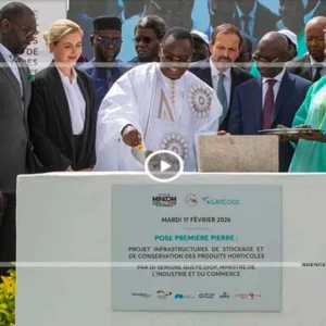 Souveraineté alimentaire : Ngomène frappe fort avec une chambre froide XXL de 250 000 tonnes