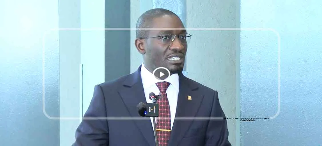 Le BIT lance la phase II du projet sur la dimension sociale de la transition écologique au Sénégal