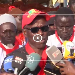 Les horticulteurs demandent la révision de la date de suspension de la vente de la pomme de terre