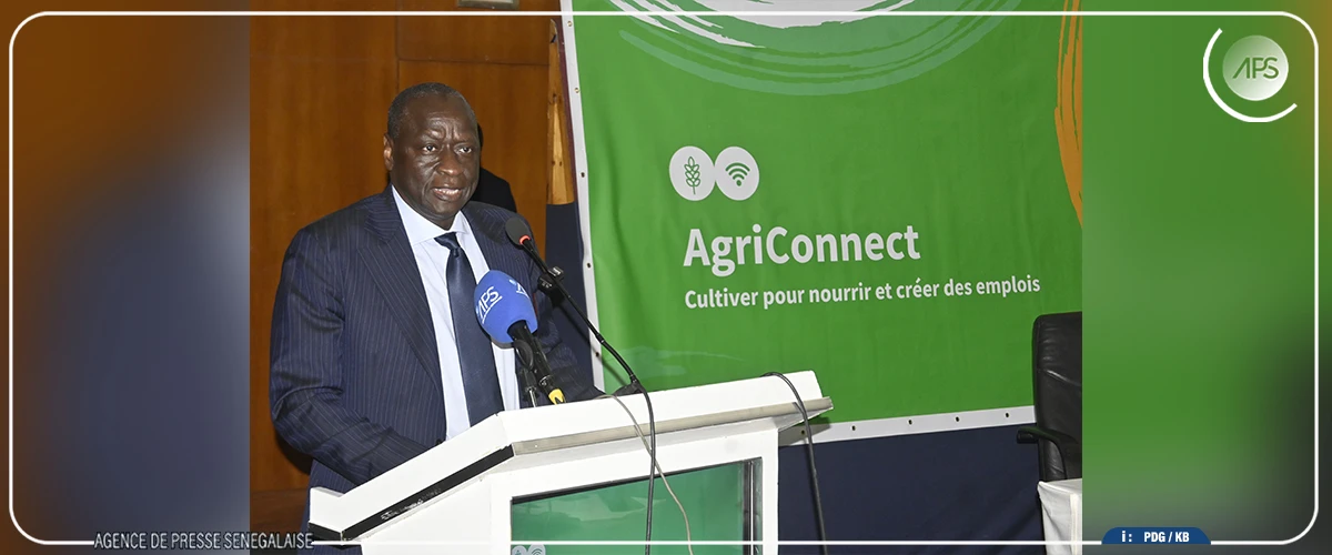 Mabouba Diagne table sur au moins 1250 milliards de francs CFA pour développer l'agriculture