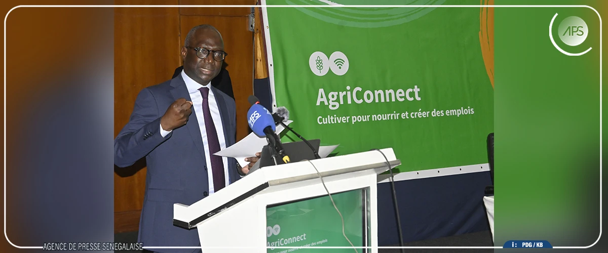 Mabouba Diagne table sur au moins 1250 milliards de francs CFA pour développer l’agriculture