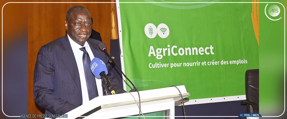 Souveraineté alimentaire : le gouvernement sénégalais et la Banque mondiale lancent l’initiative AgriConnect