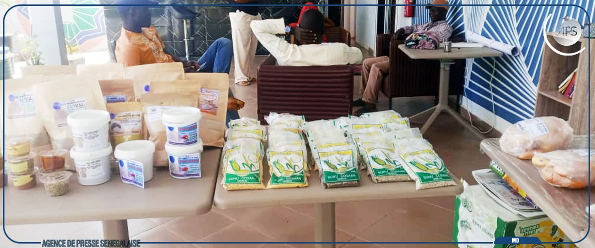 Linguère : 170 jeunes formés aux métiers agrosylvopastoraux