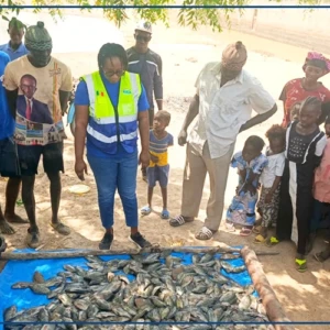Un élevage piscicole de la région de Kaffrine récolte 100 kilos de poissons