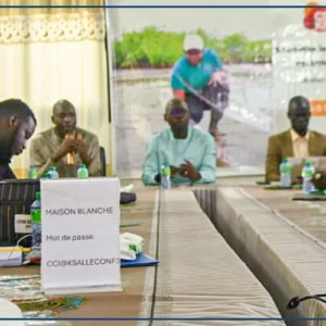 Kaolack: la production de connaissances en matière d’adaptation au changement climatique au menu d’un atelier