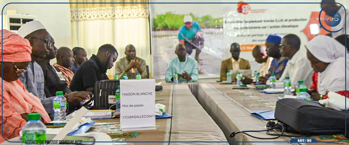 Kaolack : la production de connaissances en matière d’adaptation au changement climatique au menu d’un atelier