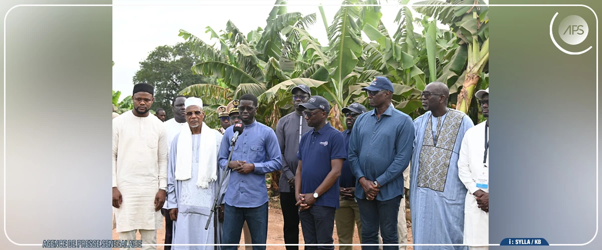 L'autosuffisance en bananes à la portée du Sénégal (président)