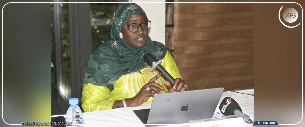 IA et IEF : un dispositif de renforcement de capacité préconisé pour la maîtrise des processus budgétaires 