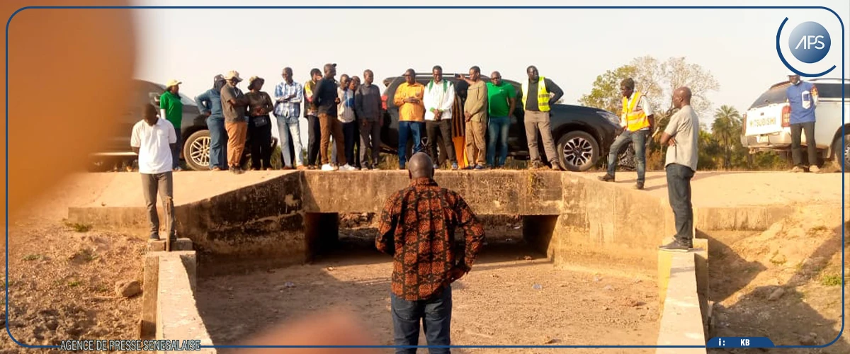 Projet chaîne de valeur riz : le comité de pilotage satisfait de l'avancement des chantiers à Bignona