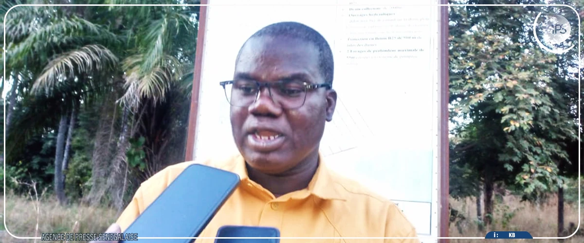 Projet chaîne de valeur riz : le comité de pilotage satisfait de l’avancement des chantiers à Bignona