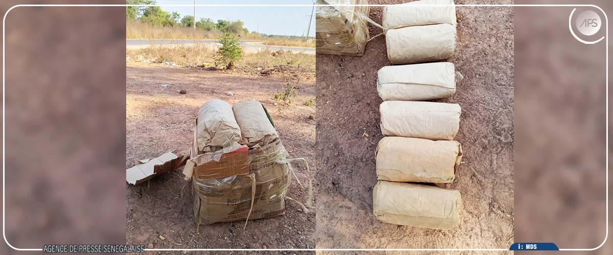 Bignona : quatre individus interpellés pour association de malfaiteurs et trafic de chanvre indien