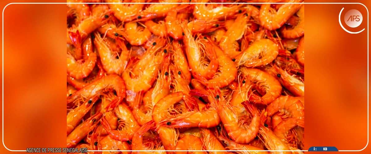 Foundiougne : la cherté de la crevette tombe mal en période de jeûne