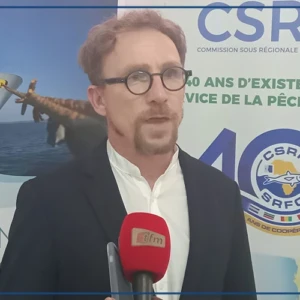 Des experts préconisent des mesures pour sauver les sardinelles dans quatre pays ouest-africains