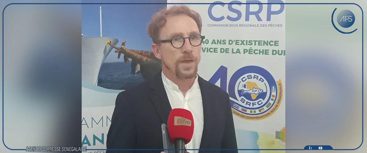 Des experts préconisent des mesures pour sauver les sardinelles dans quatre pays ouest-africains