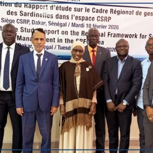 La gestion concertée de la sardinelle au menu d’une rencontre à Dakar