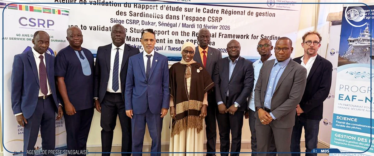 La gestion concertée de la sardinelle au menu d’une rencontre à Dakar