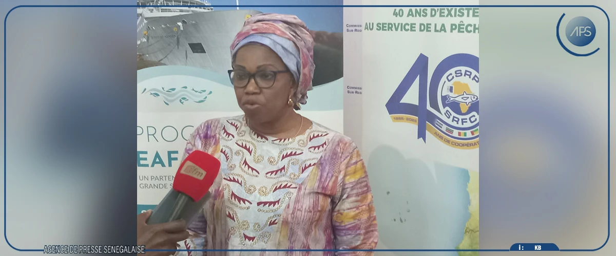 Des experts préconisent des mesures pour sauver les sardinelles dans quatre pays ouest-africains