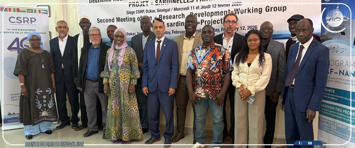 Des experts préconisent des mesures pour sauver les sardinelles dans quatre pays ouest-africains