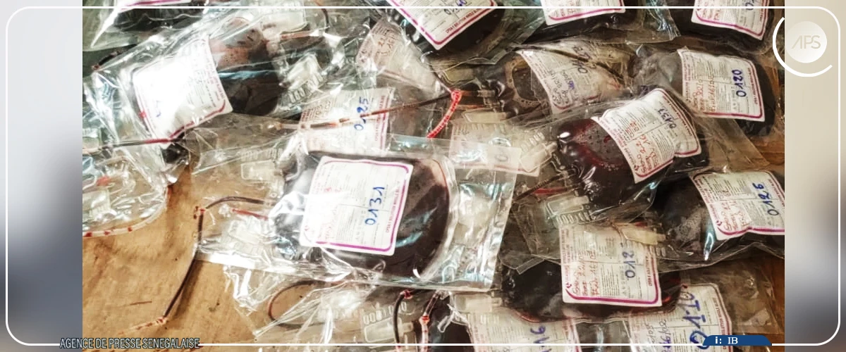 Podor : une quarantaine de poches de sang collectées au profit de l’hôpital de Ndioum