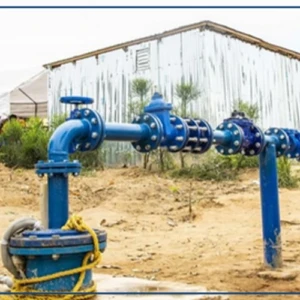 Eau et assainissement : le chef de l’État demande au gouvernement d’accélérer l’exécution des projets