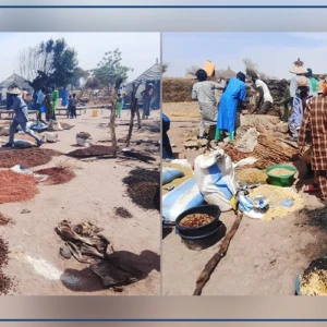 Koungheul : cinq maisons et 24 cases décimées dans un incendie à Fass Ngaguène 