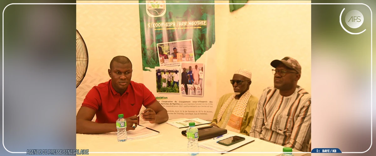 Gandiaye : une organisation paysanne milite pour la discrimination positive en faveur des femmes et des jeunes