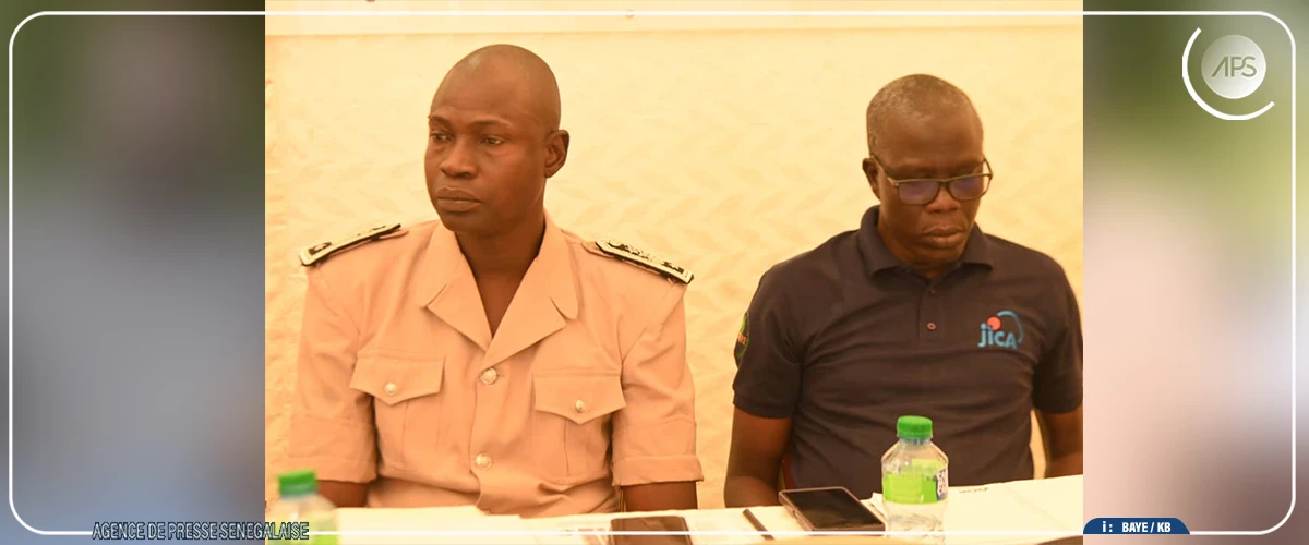 Gandiaye : une organisation paysanne milite pour la discrimination positive en faveur des femmes et des jeunes