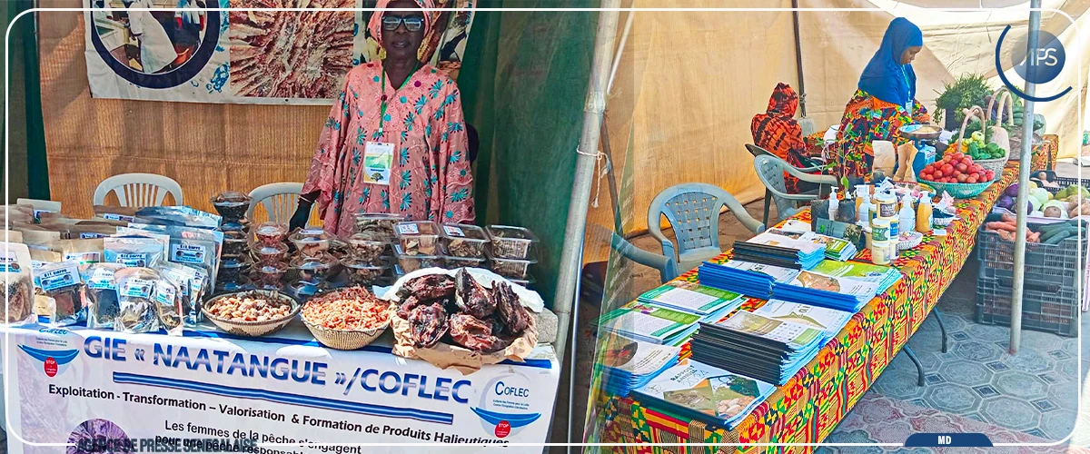 Innovations et solutions locales au menu d'un forum sur le développement durable