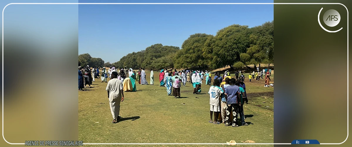 Halwar : affluence à la ziarra annuelle de Cheikh Oumar Foutiyou Tall
