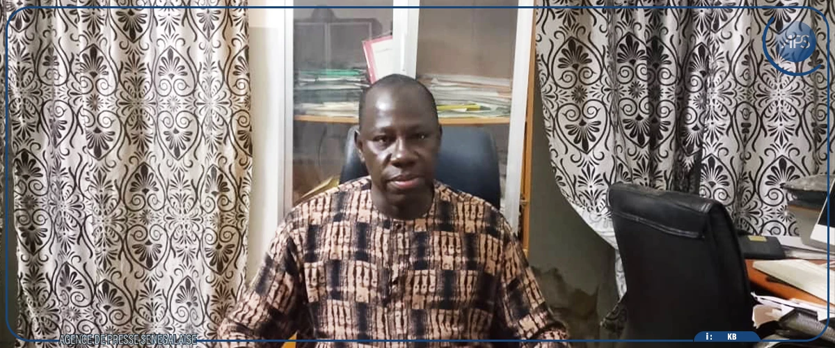 Kaolack : quand le travail des enfants compromet leur avenir