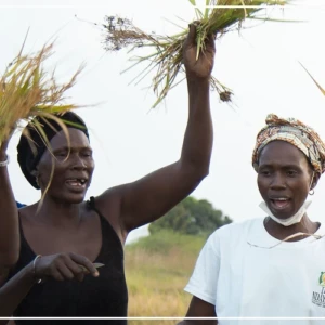 Les femmes du Pakao, fer de lance de la résilience économique