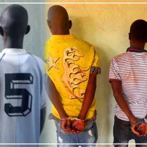 Quatre individus arrêtés pour détention et trafic de chanvre à Saraya