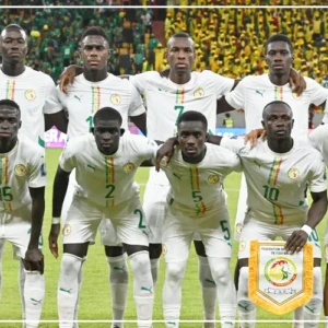 Les Lions affrontent le Pérou et la Gambie pour la fenêtre internationale Fifa de mars