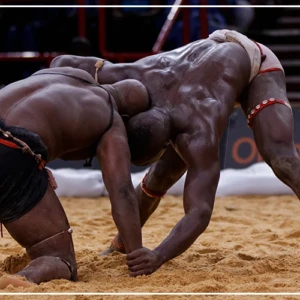Un gala de lutte simple à l'Arène nationale, dimanche
