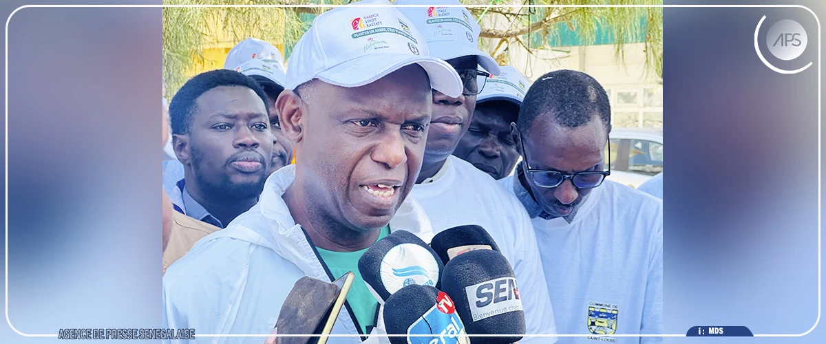 Saint-Louis : lancement officiel d’un projet de végétalisation des grandes artères de la ville