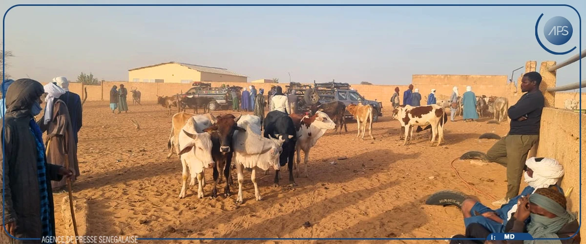 Thilé Boubacar : reprise annoncée des activités au marché à bétail