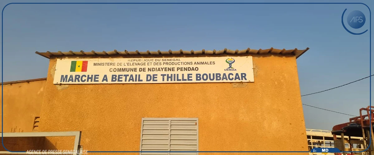 Thilé Boubacar : reprise annoncée des activités au marché à bétail