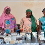 Les femmes du Pakao, fer de lance de la résilience économique