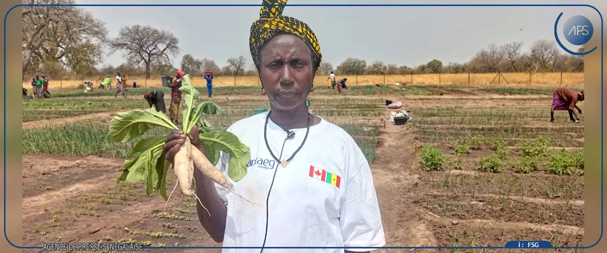 Les femmes du Pakao, fer de lance de la résilience économique